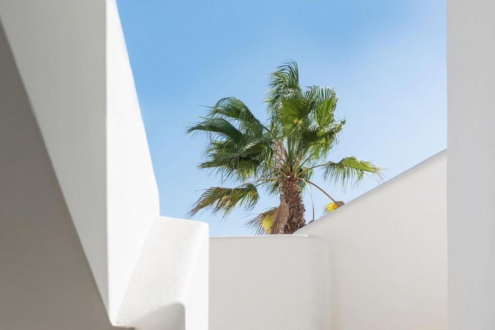 Playa D Embossa Vibra Appartamento